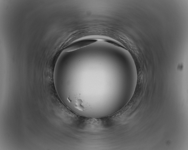 X0000095910421200801111236