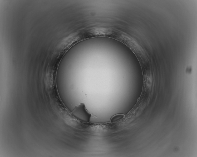 X0000095910422200801111236