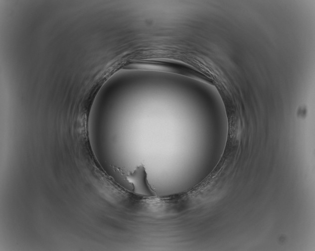 X0000095910425200801111236