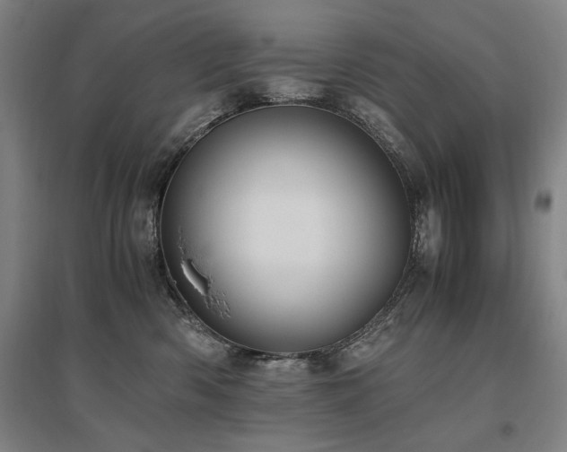 X0000095910426200801111236