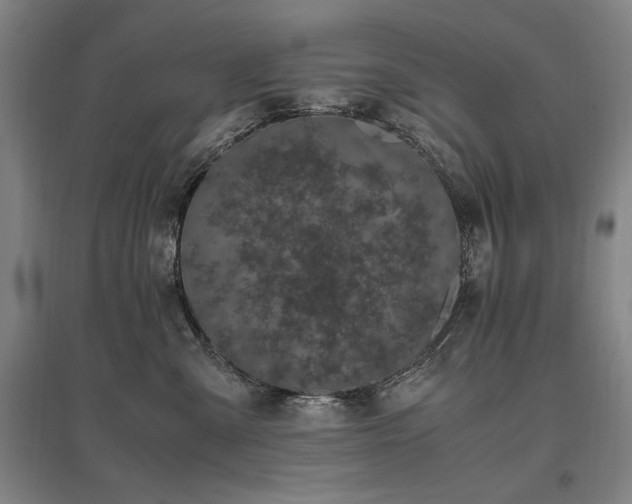 X0000095910427200801111236