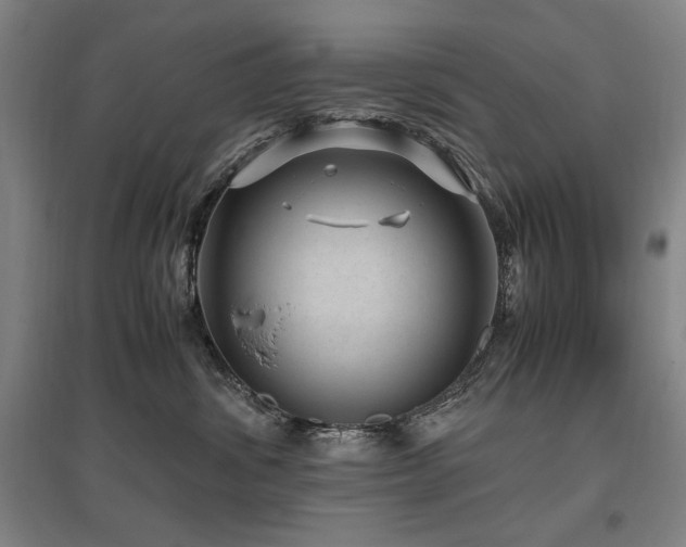 X0000095910428200801111236