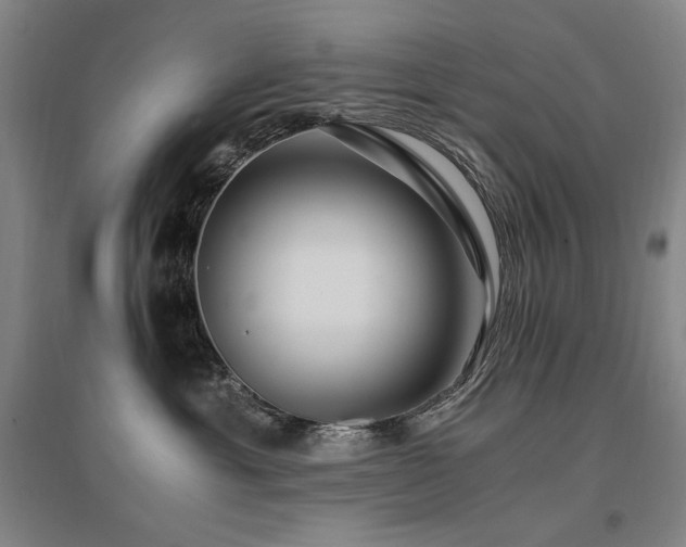 X0000095910429200801111236