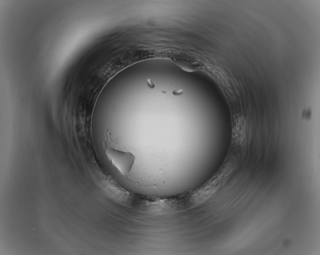 X0000095910430200801111236