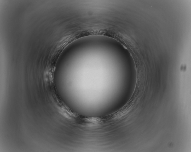 X0000095910432200801111236