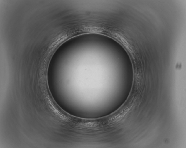 X0000095910433200801111235
