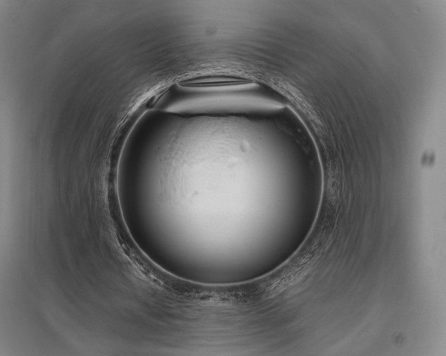 X0000095910434200801111235