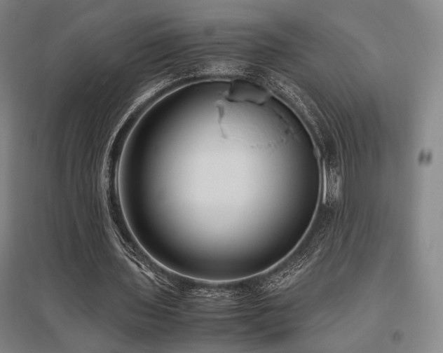 X0000095910435200801111236