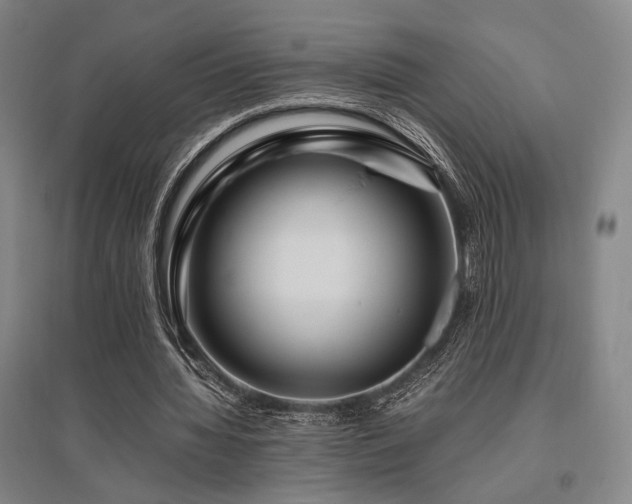 X0000095910436200801111236