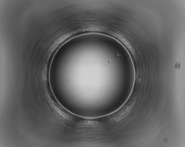 X0000095910437200801111236