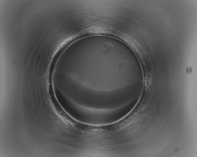 X0000095910438200801111236