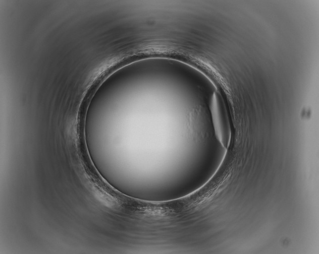 X0000095910439200801111236
