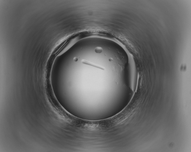X0000095910440200801111236