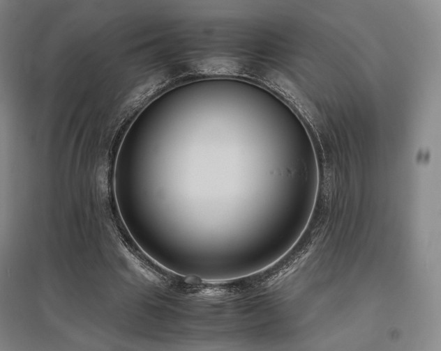 X0000095910441200801111236