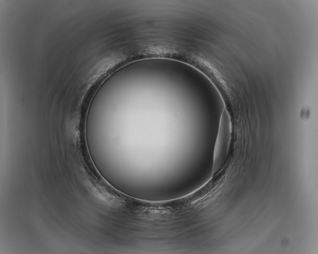 X0000095910443200801111236