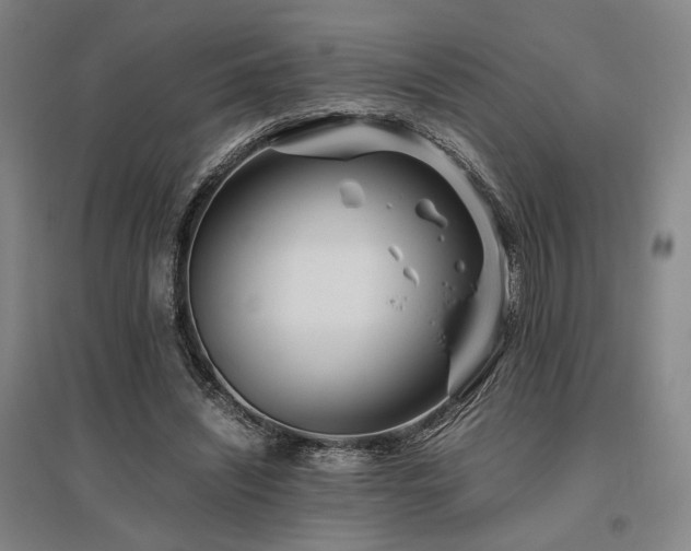 X0000095910444200801111236