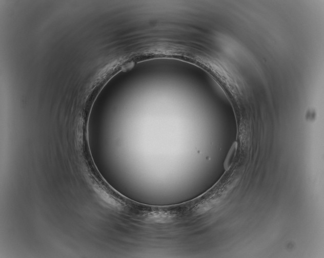 X0000095910445200801111236