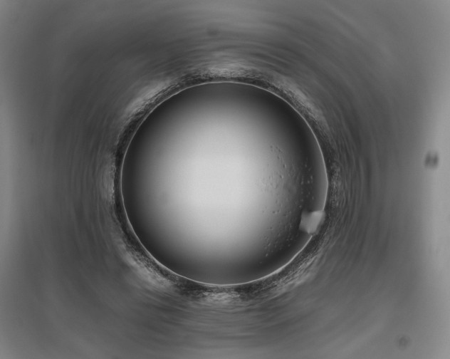 X0000095910446200801111236