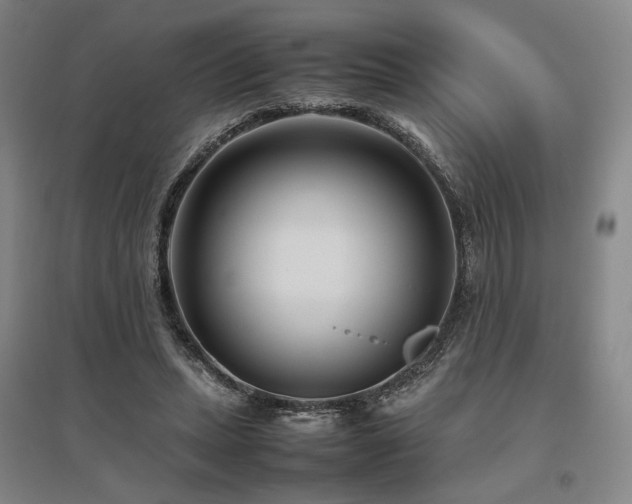 X0000095910447200801111236
