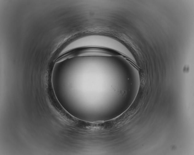 X0000095910448200801111236
