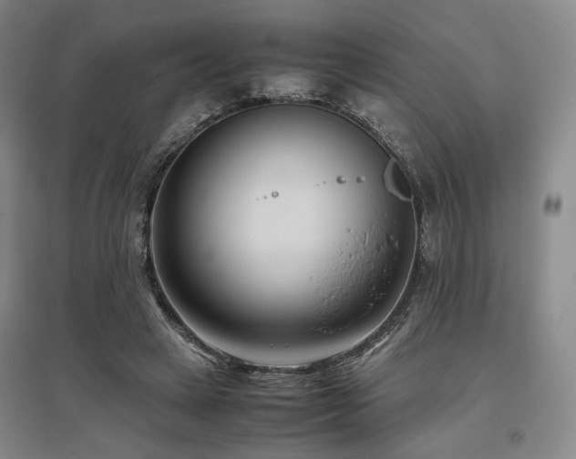 X0000095910449200801111236