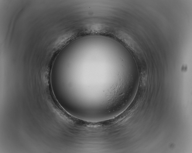 X0000095910450200801111236
