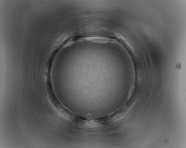 X0000095910451200801111236