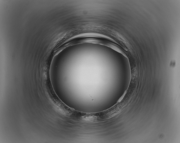 X0000095910452200801111236