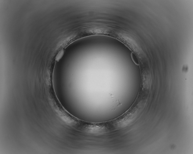 X0000095910453200801111236