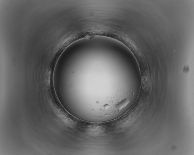 X0000095910454200801111236