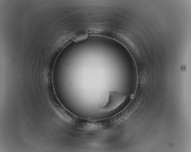 X0000095910455200801111236