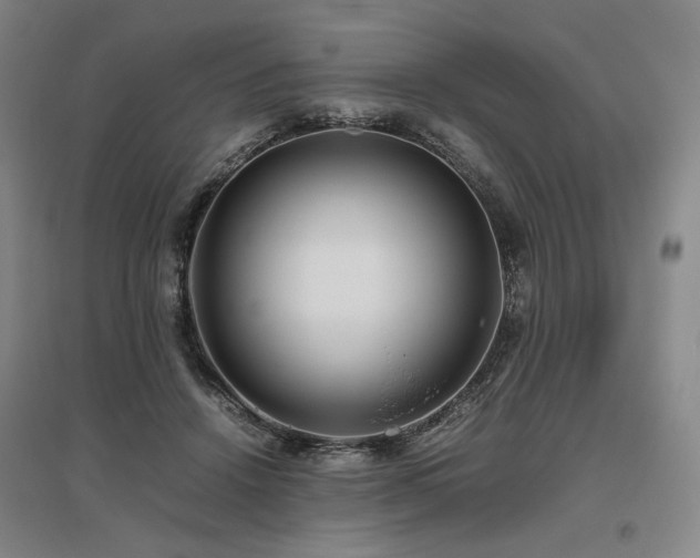 X0000095910456200801111236