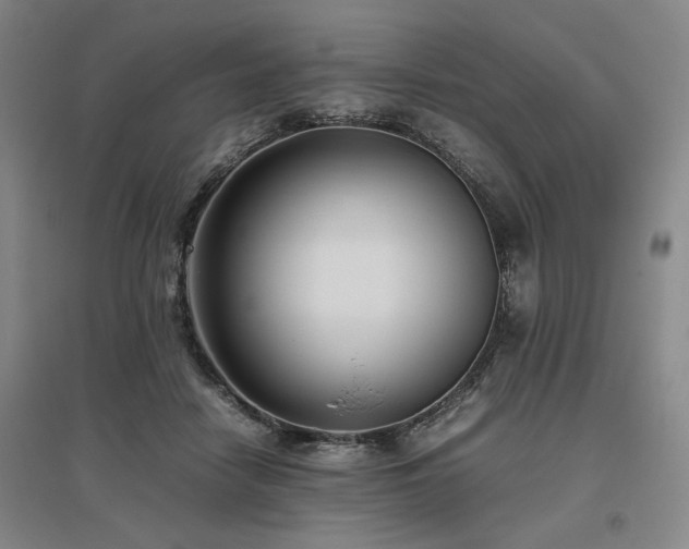 X0000095910458200801111236