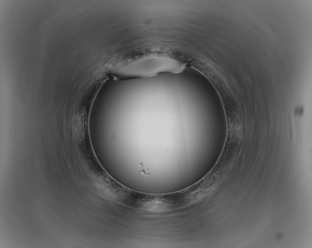 X0000095910460200801111236
