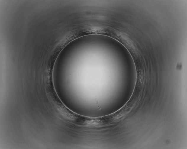 X0000095910461200801111236