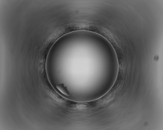 X0000095910462200801111236