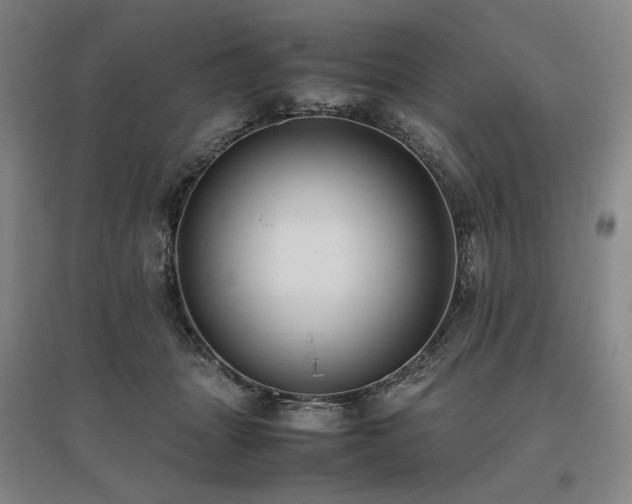 X0000095910463200801111236