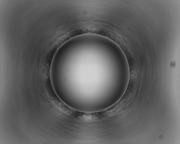 X0000095910464200801111236