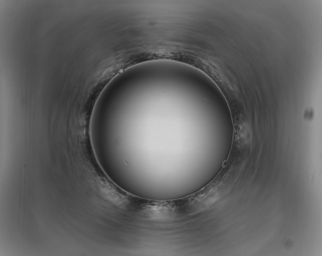 X0000095910466200801111236