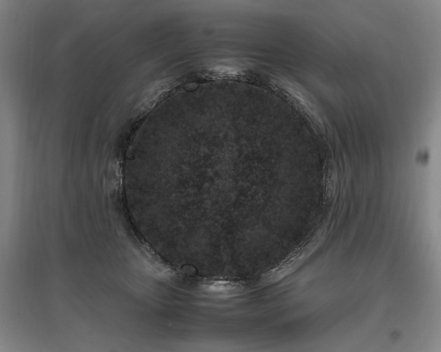 X0000095910467200801111236