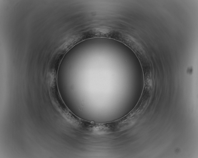X0000095910468200801111236
