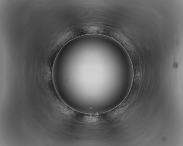 X0000095910469200801111236