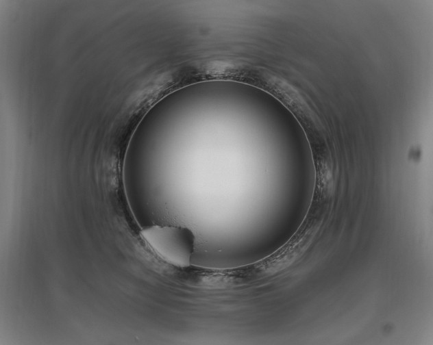 X0000095910470200801111236