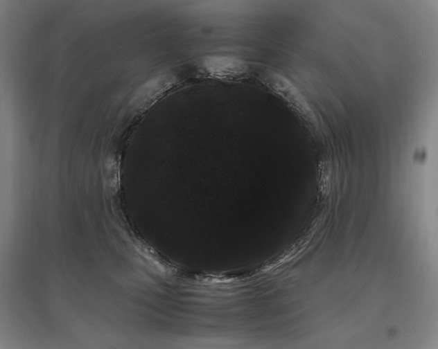 X0000095910471200801111236