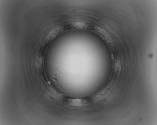 X0000095910473200801111236