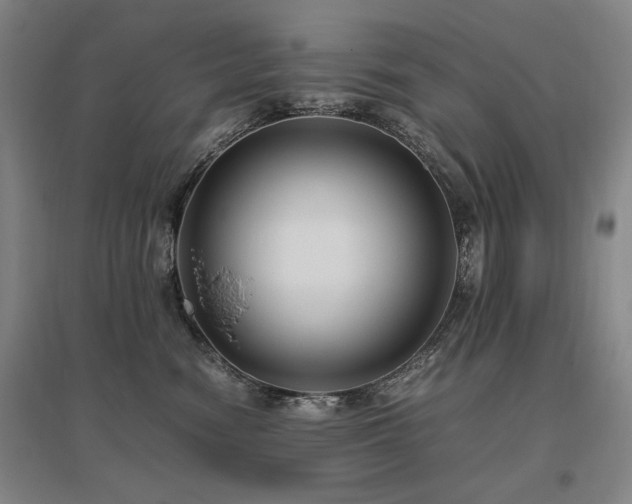 X0000095910474200801111236