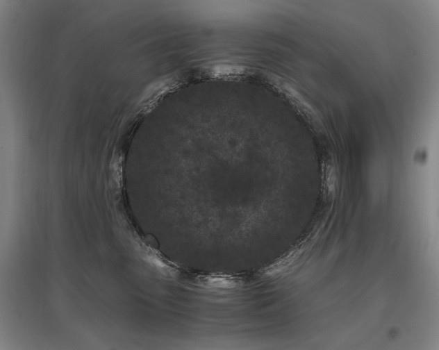 X0000095910475200801111236