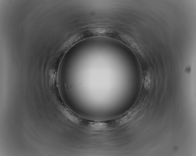 X0000095910476200801111236