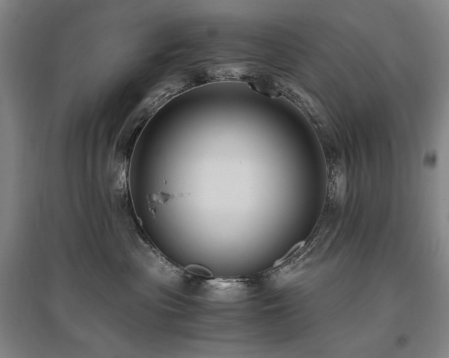 X0000095910477200801111236