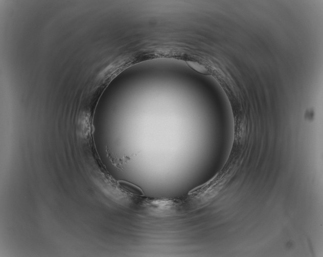 X0000095910478200801111236